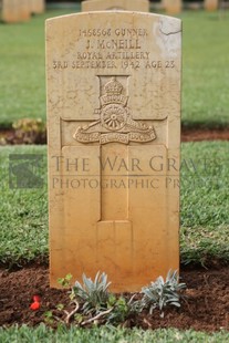 BEIRUT WAR CEMETERY - McNEILL, JAMES